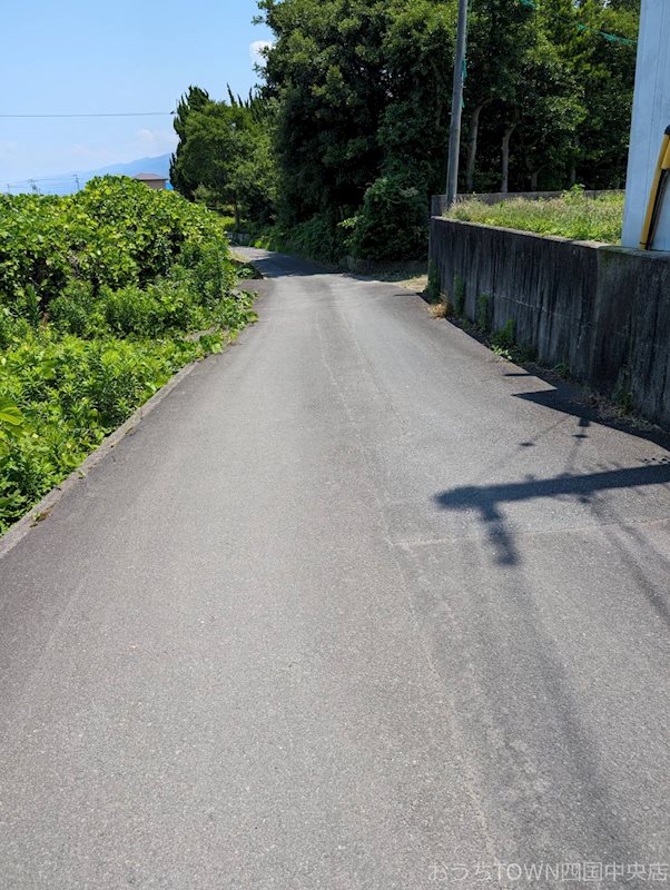 土居町津根　土地 その他
