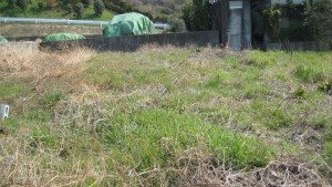 具定町　土地 その他