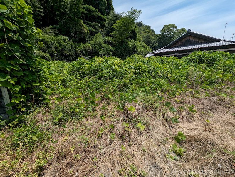 四国中央市土居町北野　土地 その他