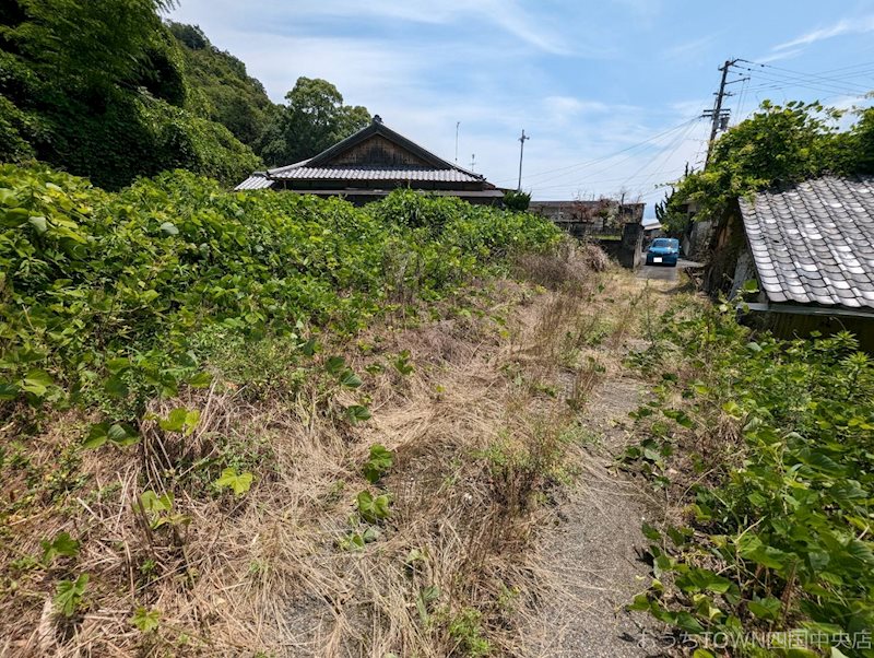 四国中央市土居町北野　土地 その他