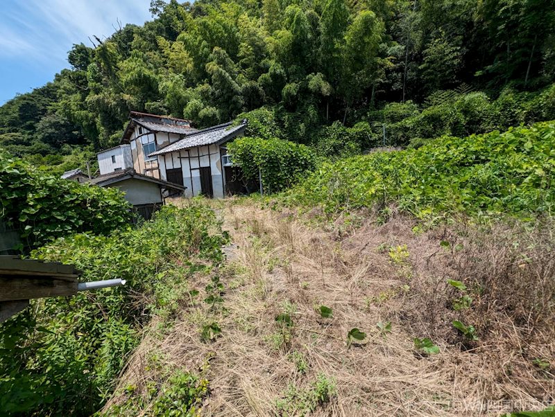 四国中央市土居町北野　土地 その他