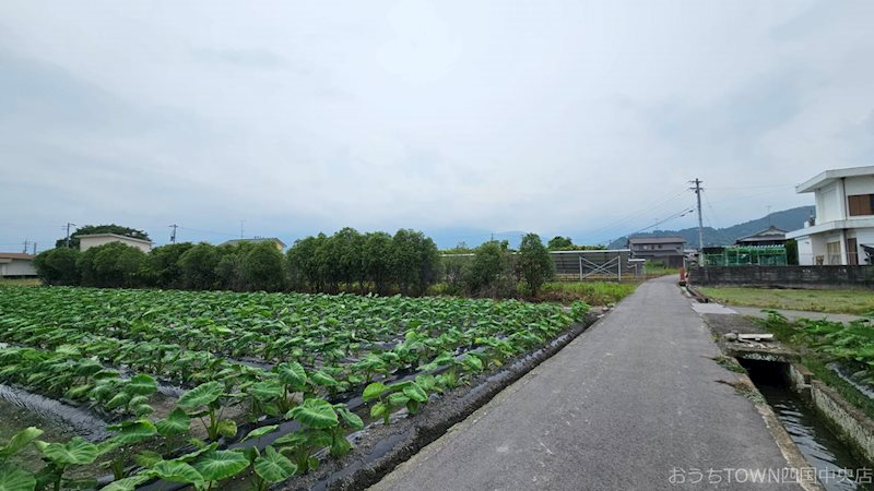 土居町天満　土地 その他