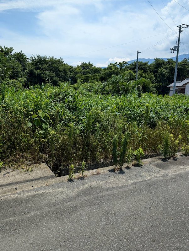 土居町野田　土地 その他