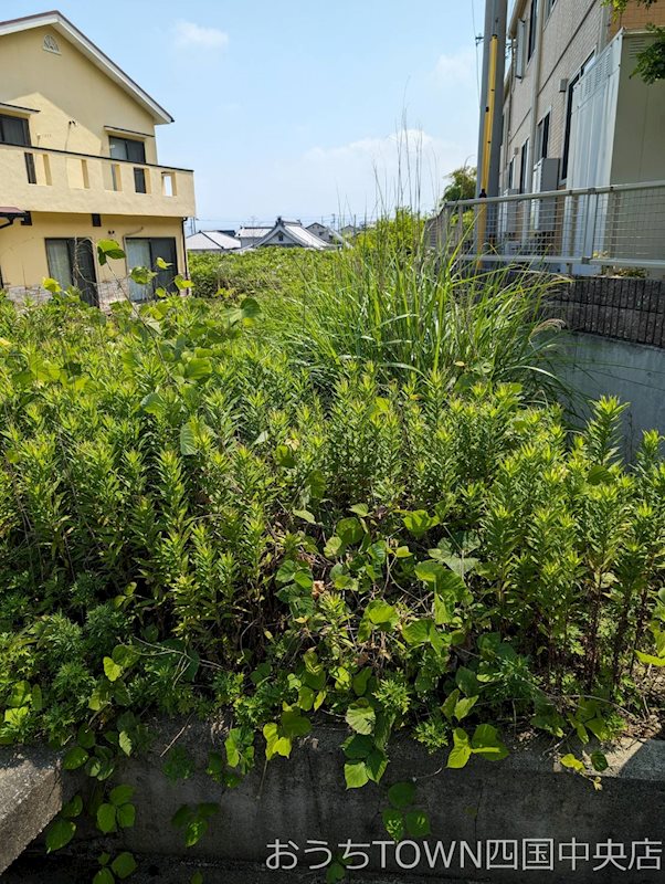 中之庄町　土地 その他