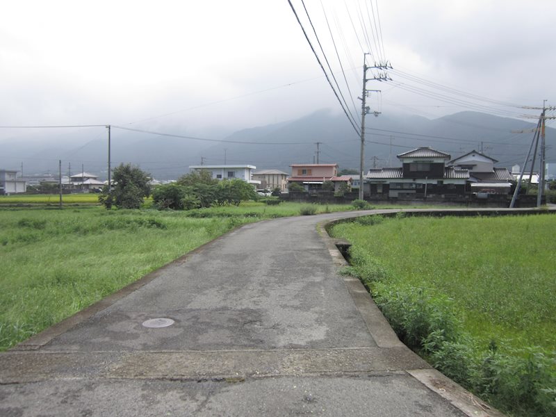 土居町土居　土地 その他