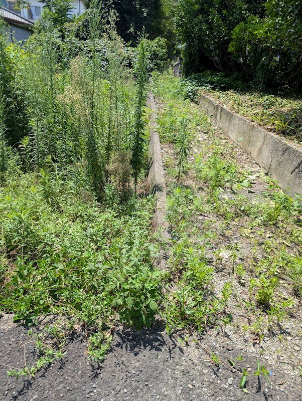 土居町津根　土地 その他