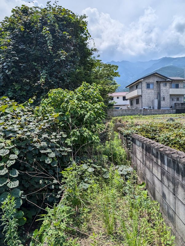 土居町津根　土地 その他