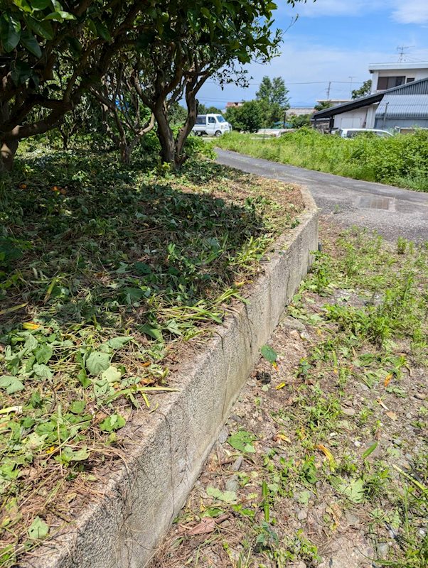 土居町津根　土地 その他