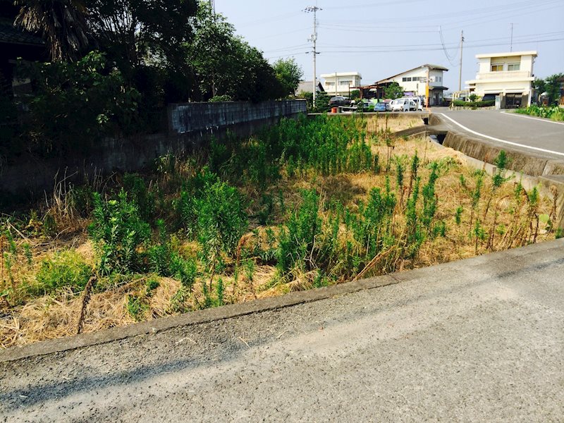 土居町天満　土地 外観写真