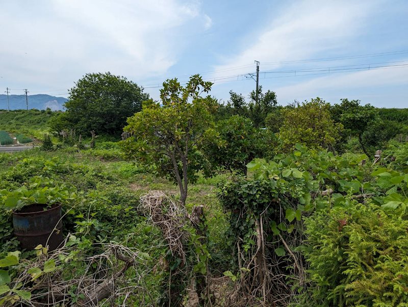 土居町小林　土地 その他