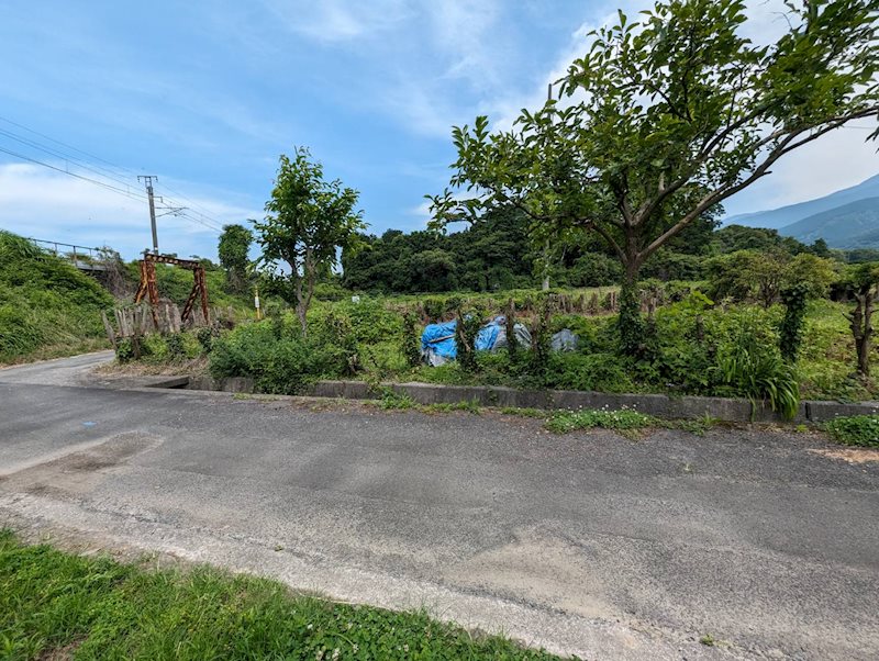 土居町小林　土地 その他