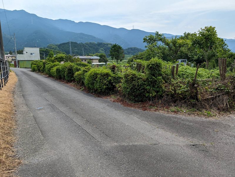 土居町小林　土地 その他