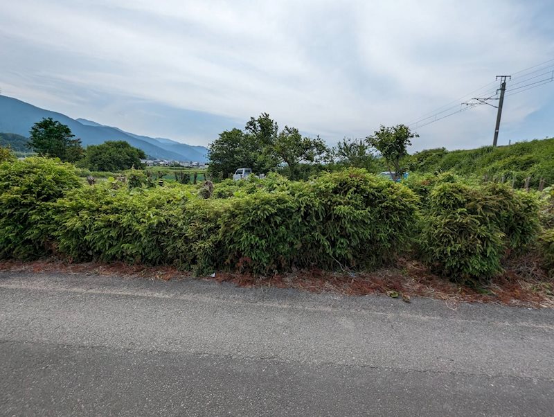 土居町小林　土地 その他