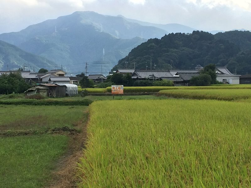 土居町天満　土地 その他