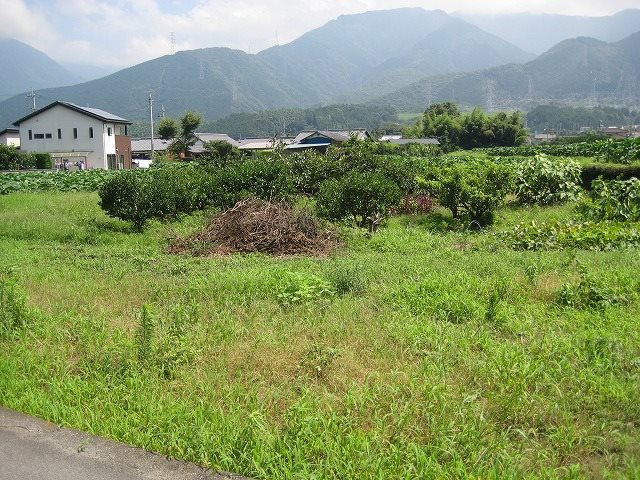 土居町北野　土地 外観写真