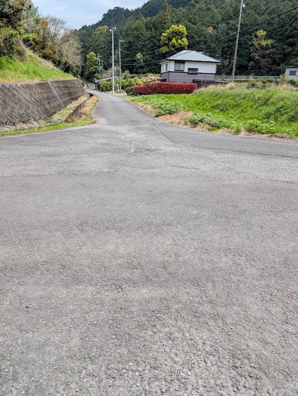 土居町上野　土地 その他