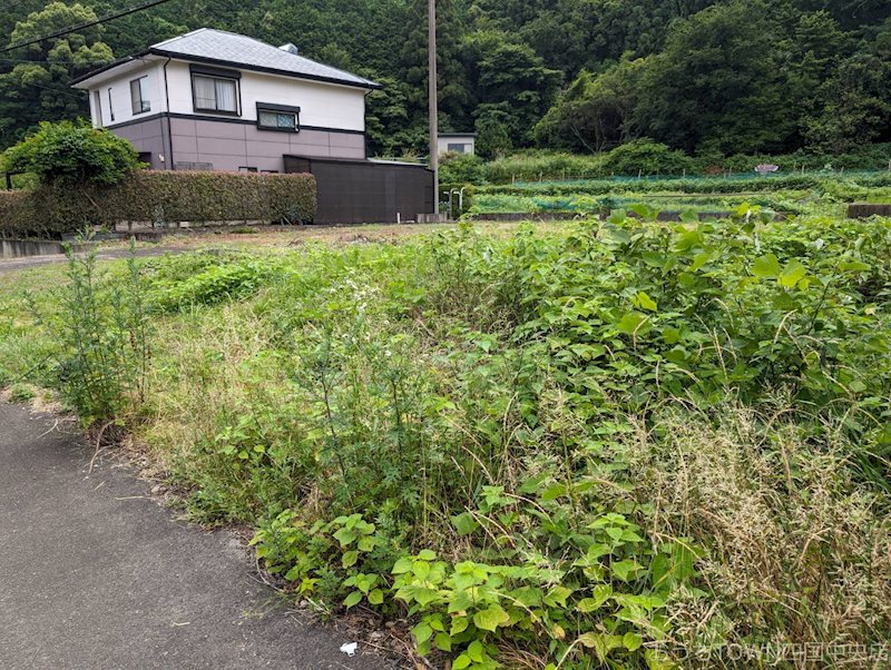 土居町上野　土地 その他