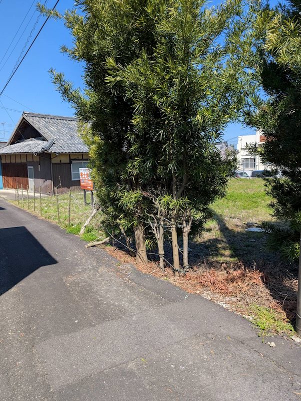 土居町津根　土地 その他