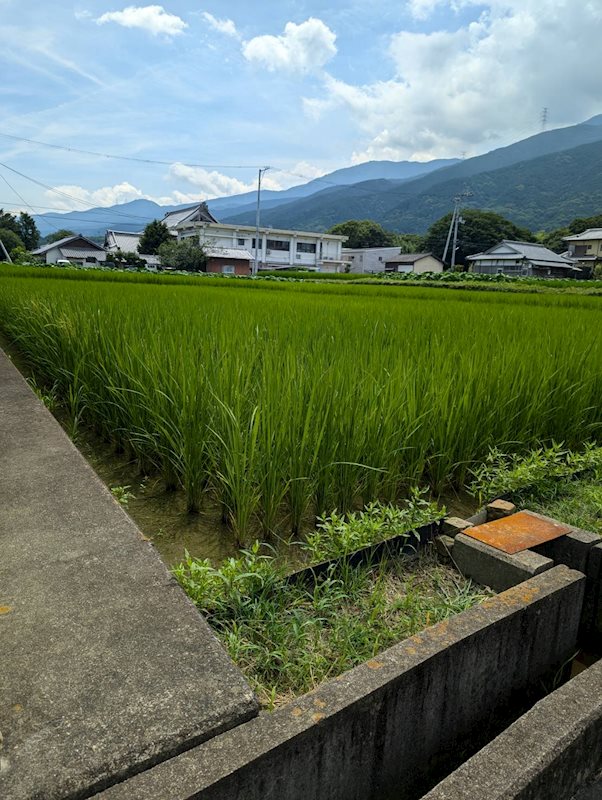 土居町野田　土地 外観写真