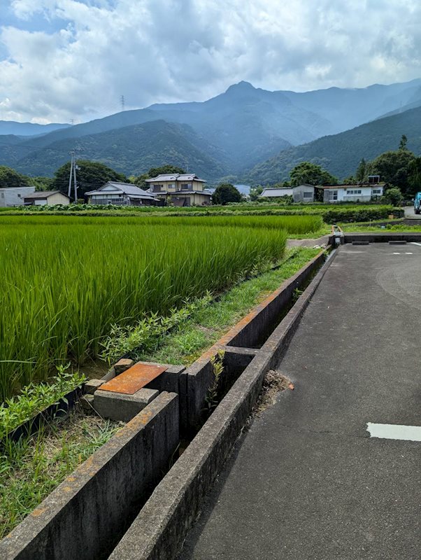 土居町野田　土地 その他