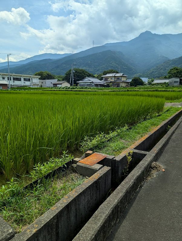 土居町野田　土地 その他