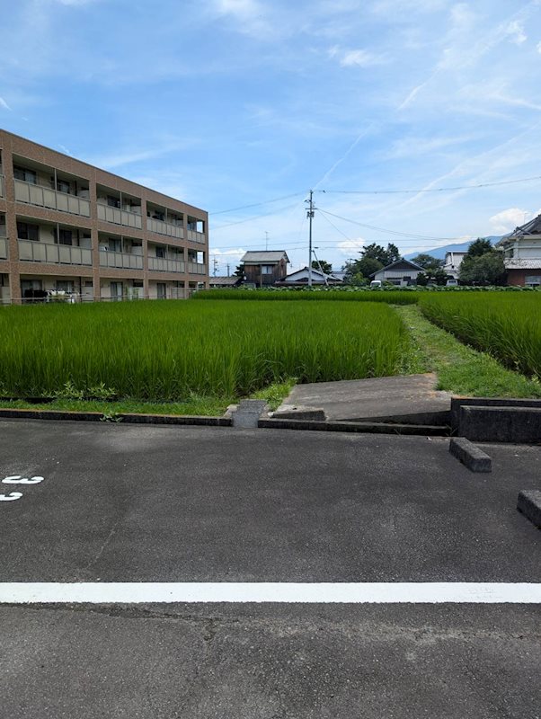 土居町野田　土地 その他