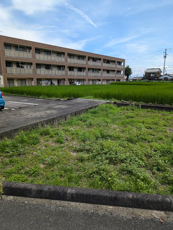 土居町野田　土地 その他