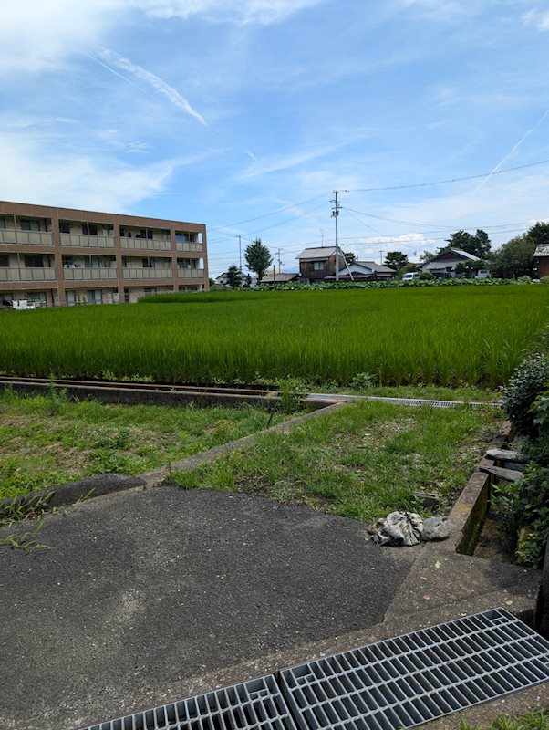 土居町野田　土地 その他