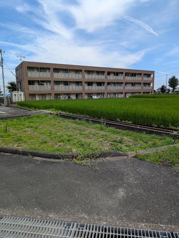 土居町野田　土地 その他