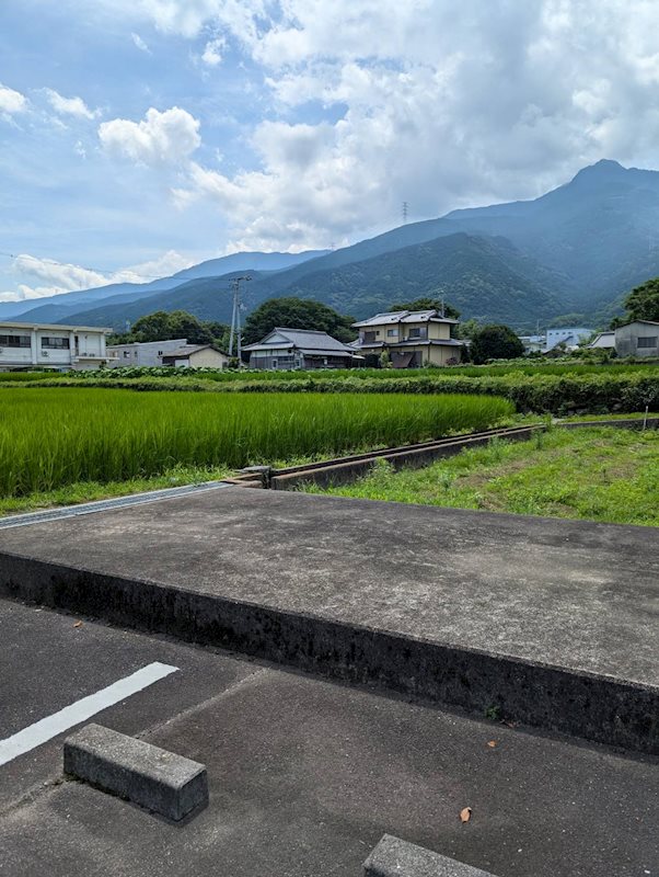 土居町野田　土地 その他