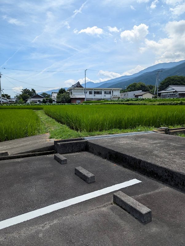 土居町野田　土地 その他