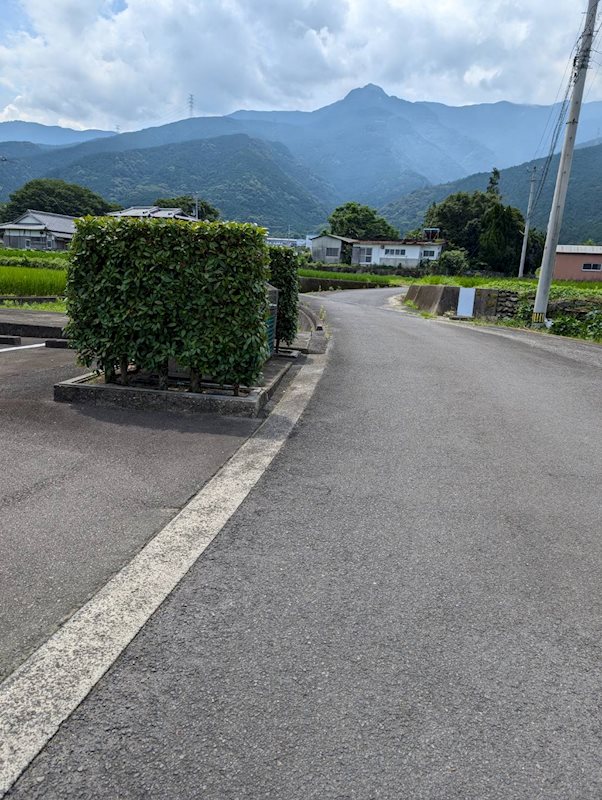 土居町野田　土地 その他