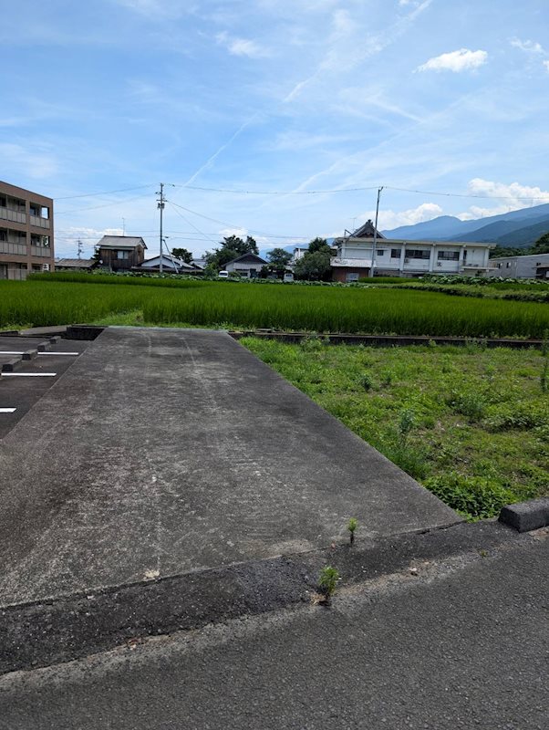 土居町野田　土地 その他