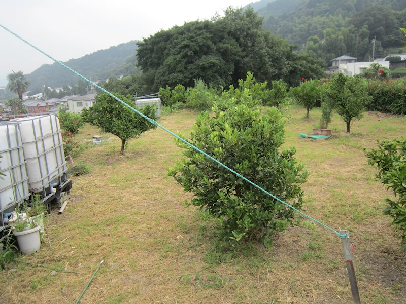 上柏町平木　土地 その他