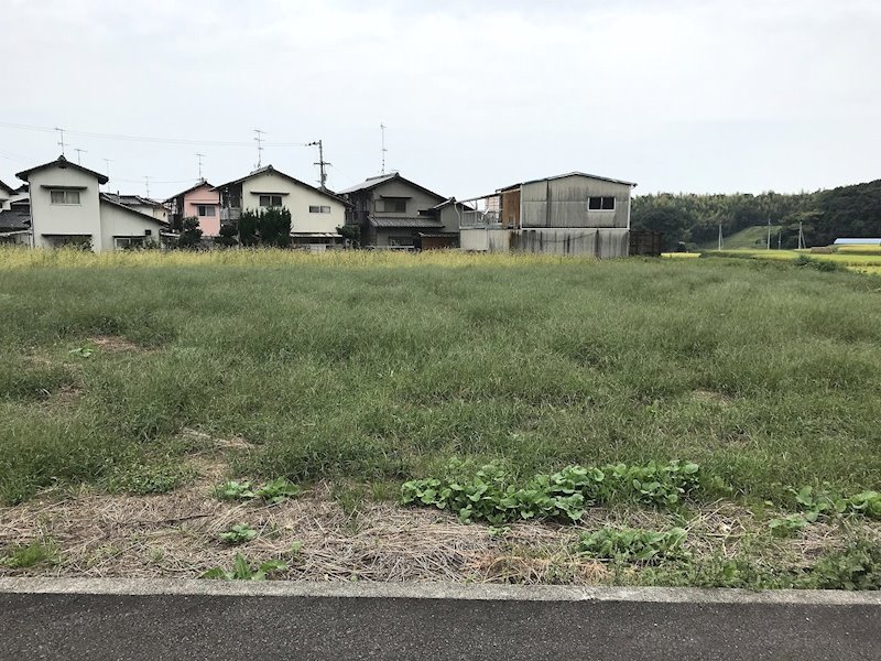 松山市善応寺 外観写真