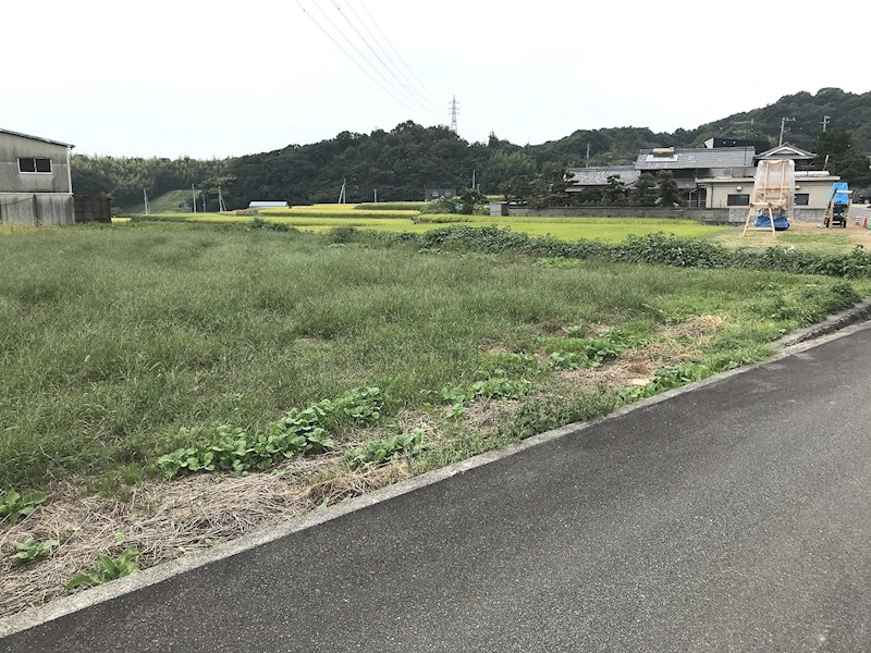 松山市善応寺 その他