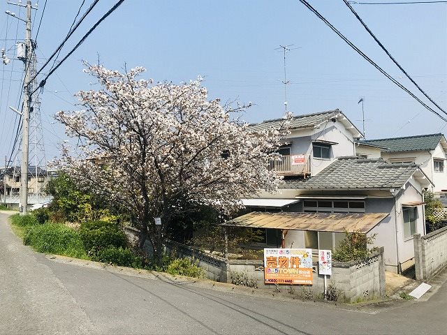 松山市堀江町 外観写真