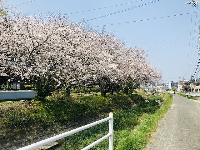 松山市堀江町 その他