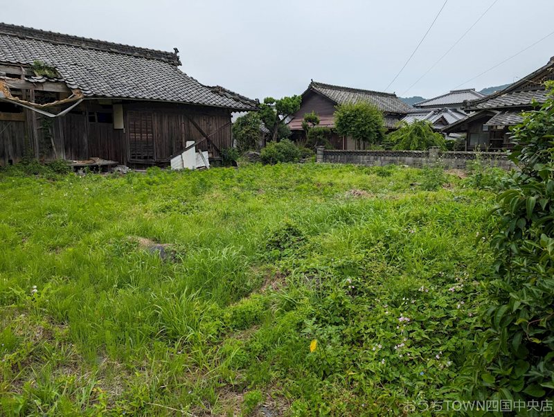 土居町上野　土地 その他