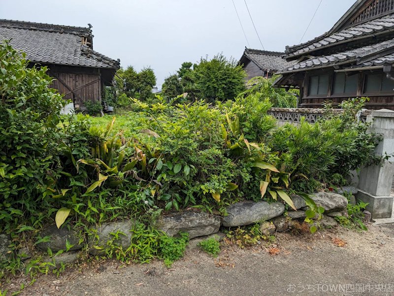 土居町上野　土地 その他