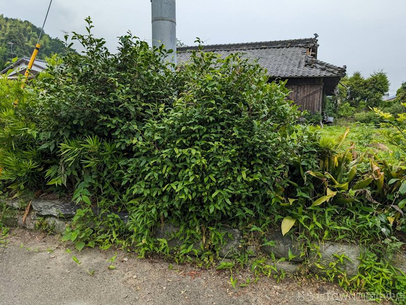 土居町上野　土地 その他