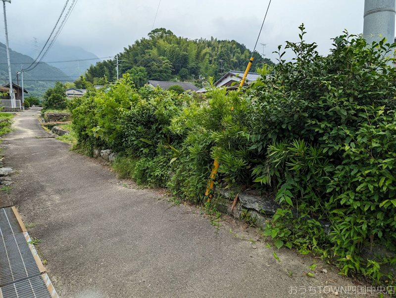 土居町上野　土地 その他