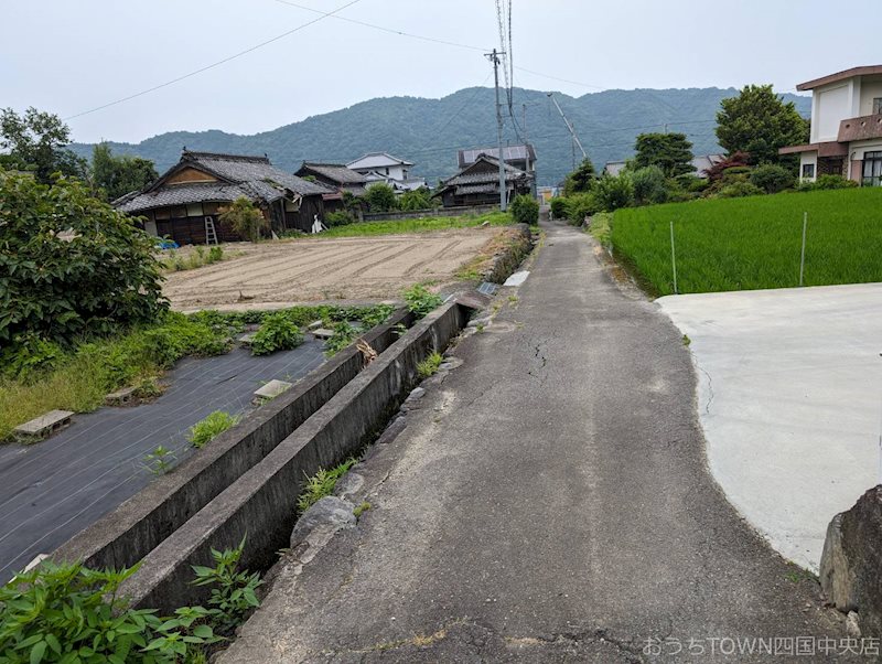 土居町上野　土地 その他