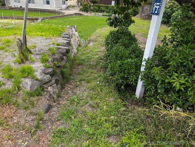 土居町上野　土地 その他