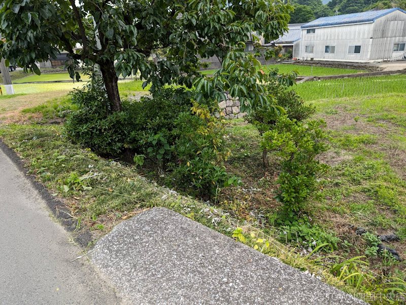 土居町上野　土地 その他