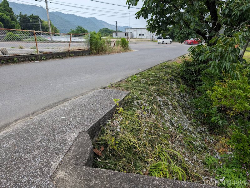 土居町上野　土地 その他