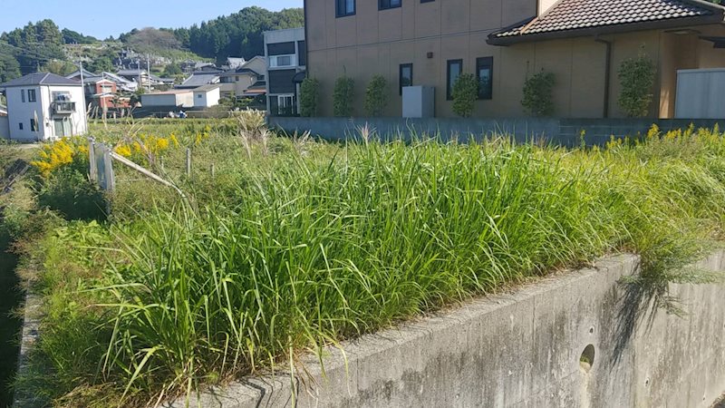 今治市菊間町長坂　土地 間取り図