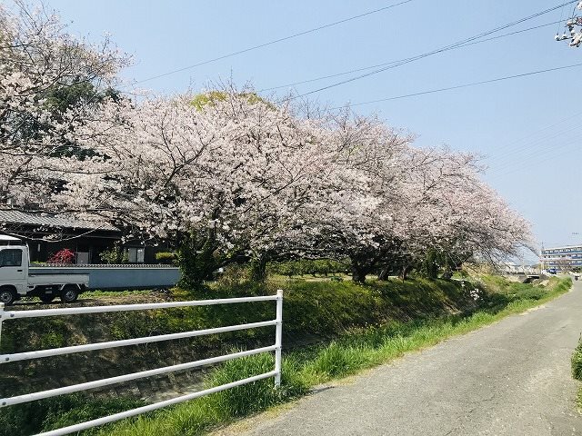 松山市堀江町 その他