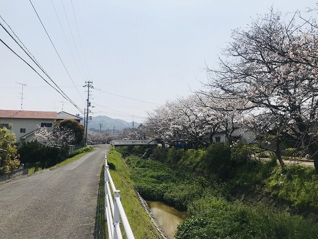 松山市堀江町 その他