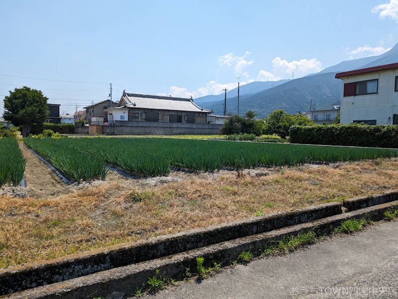 土居町津根　土地 外観写真